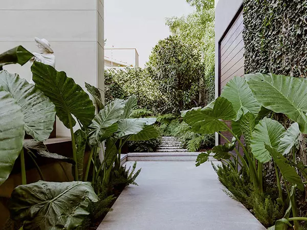HUATAN REDISEÑO JARDÍN FRESNOS