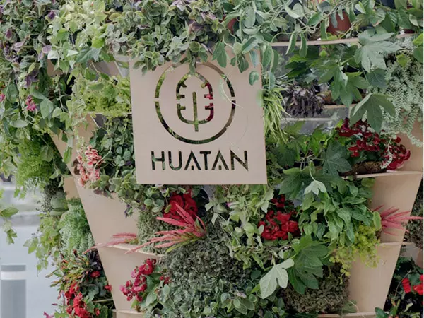 Huatan FYJA Polanco En Flores
