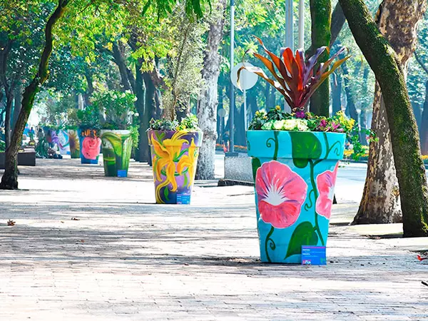 Huatan Botánica Urbana